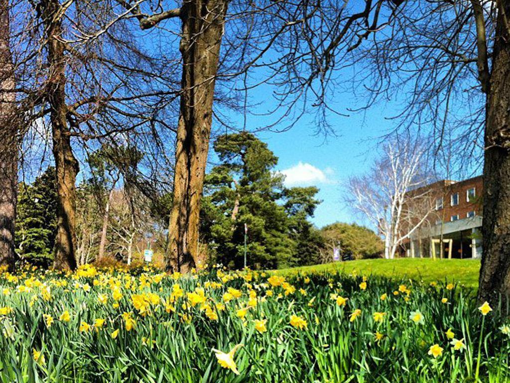 University Of Exeter - Pennsylvania Court Eksteriør bilde